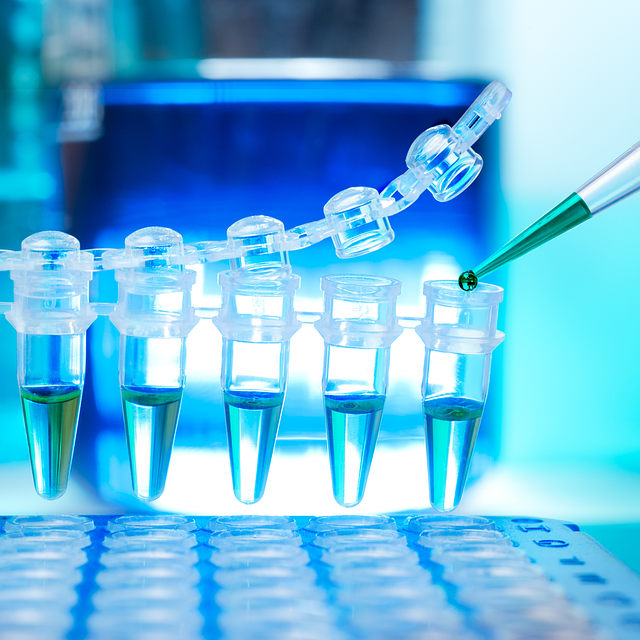 探究低氣味聚醚合成工藝優化及其對產品氣味源的控制機制