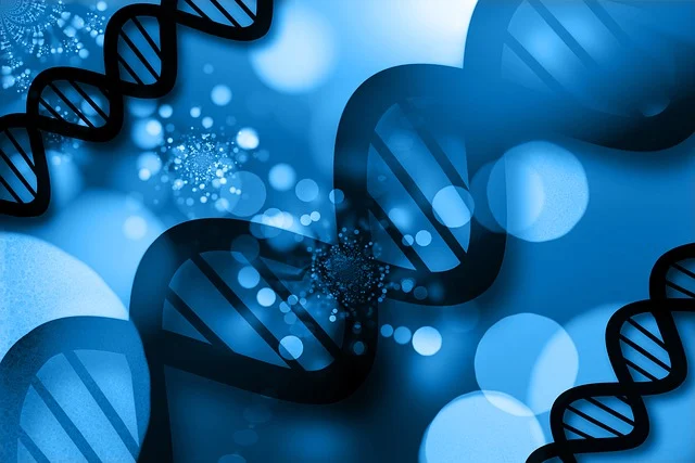 聚氨酯硬泡催化劑 pc-5 在噴涂硬泡中的應用,提供快速固化和優異的粘接性能。